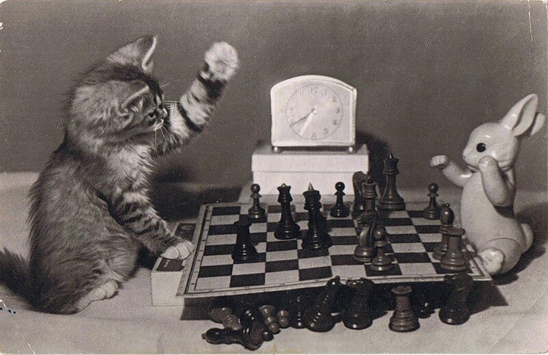 Свободные шахматы