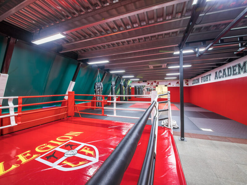 Файт Легион