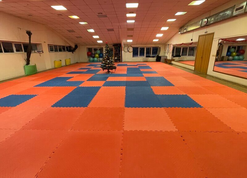 Спортивная Борьба. Джиу джитсу. Грепплинг