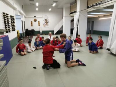 Самбо и дзюдо САО