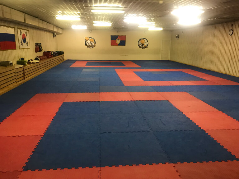 СШОР по единоборствам, отделение Тхэквондо