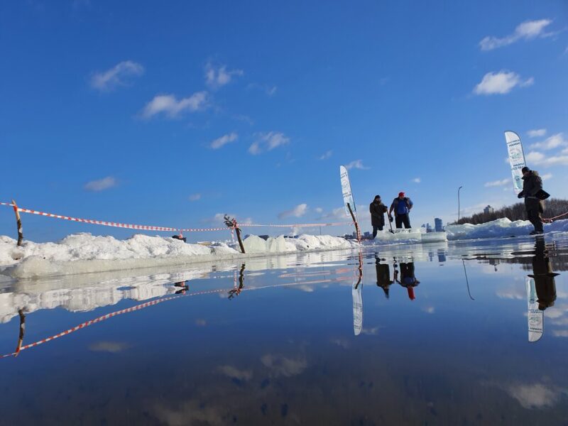 Строгинские котики