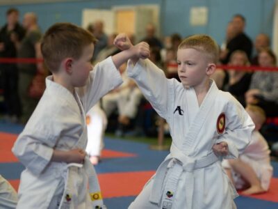 Центральная школа Каратэ