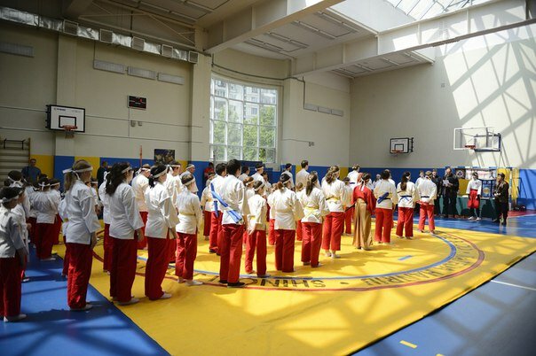 Школа боевых искусств ниндзя Катэда