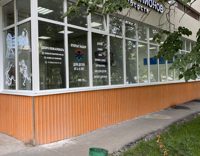 Школа чемпионов клуб единоборств