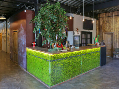 Школа самбо Три медведя