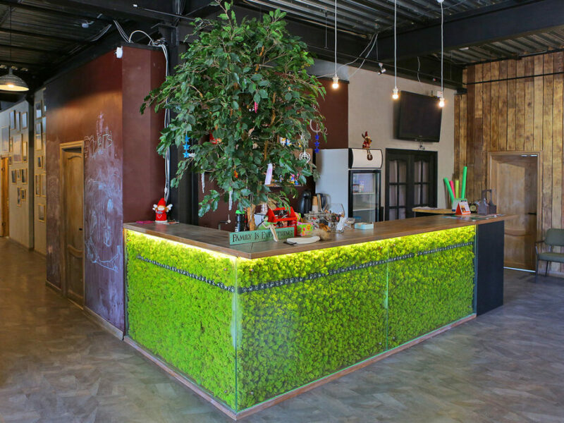 Школа самбо Три медведя