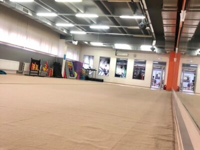 Художественная гимнастика