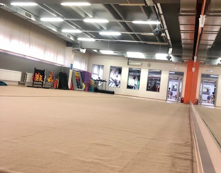 Художественная гимнастика