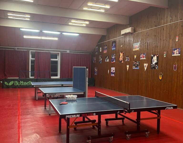 Школа настольного тенниса Да