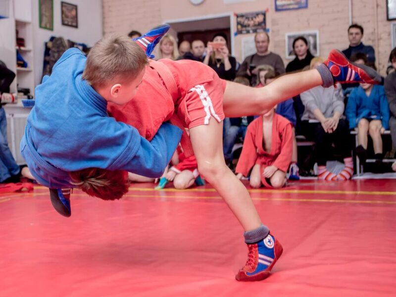 Школа самбо Три медведя