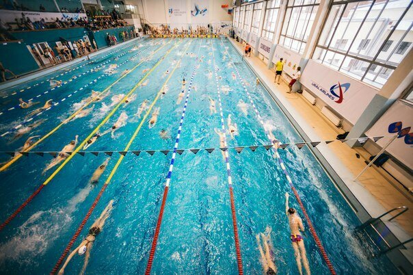 Школа плавания № 1