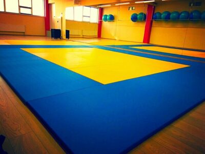 Школа самбо Три медведя