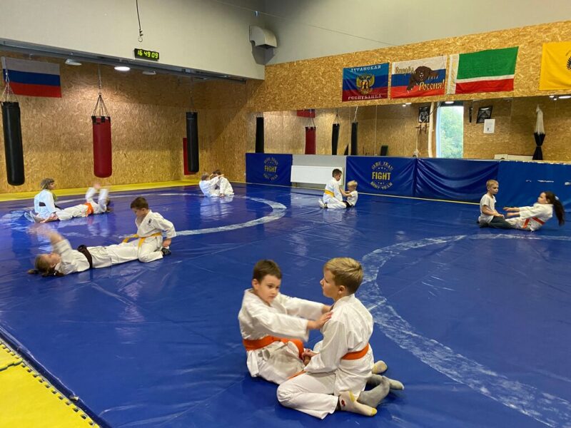 Школа единоборств Оками