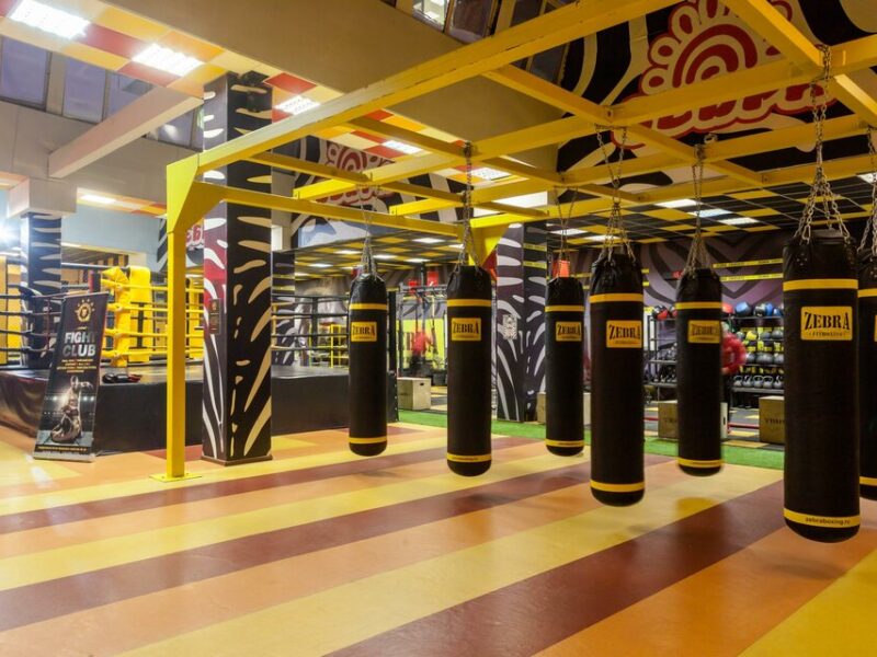 Zebra & Caste Of Warriors