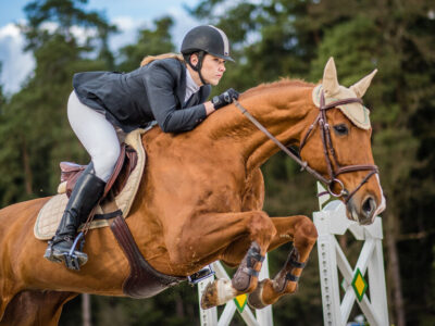 ГБУ СШ Битца Москомспорта