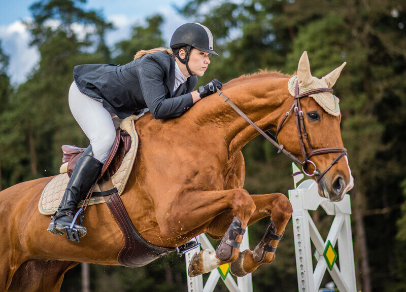 ГБУ СШ Битца Москомспорта