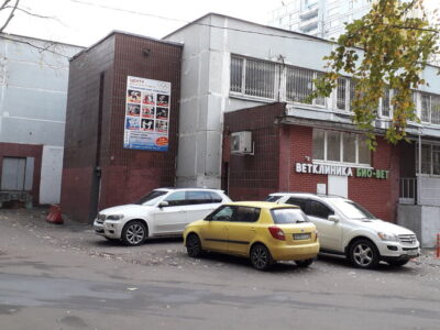 Олимпийские надежды