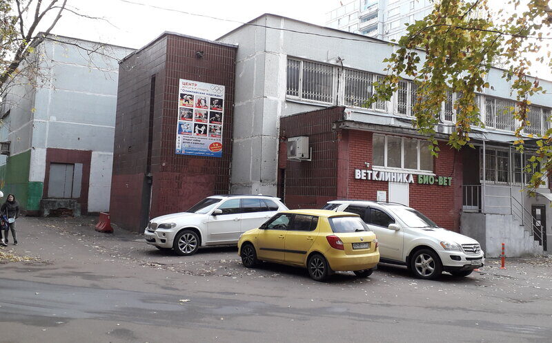 Олимпийские надежды