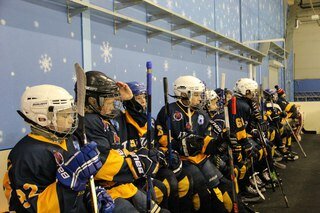 ГБУ МО Спортивная школа олимпийского резерва по хоккею