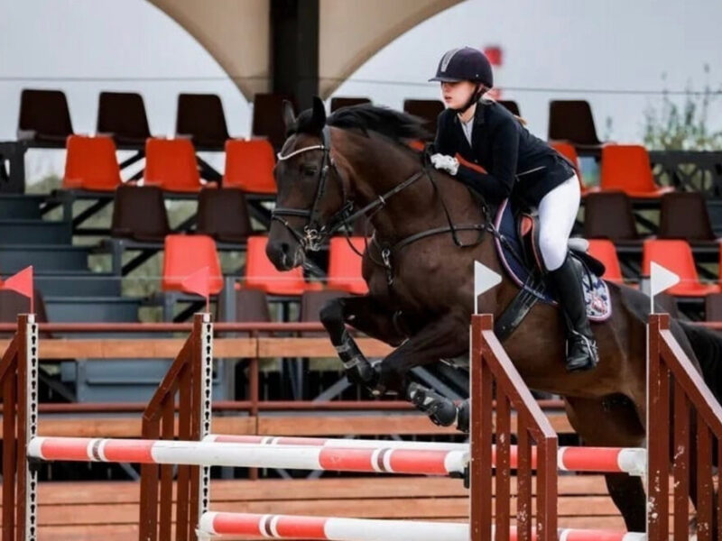 Конно-Спортивная школа