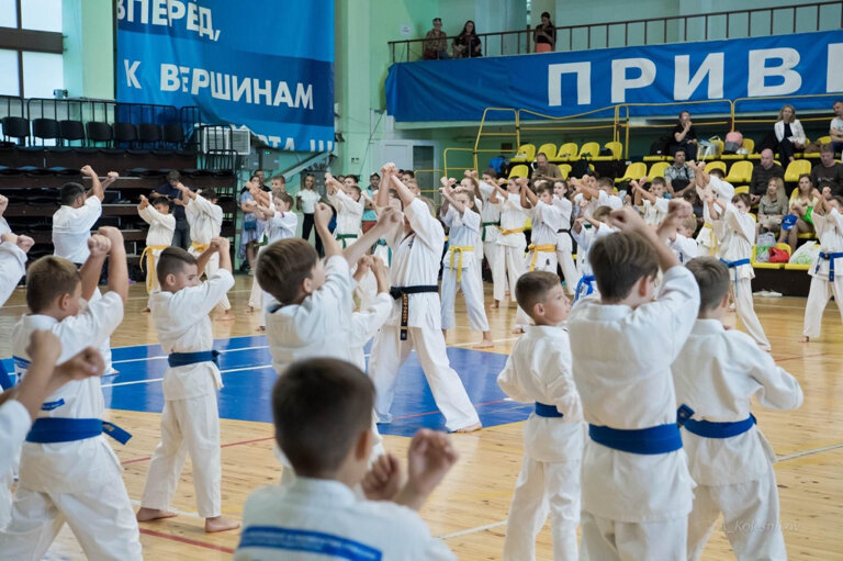 Школа киокушин каратэ