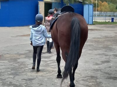 Конноспортивный манеж КСК «Юность Москвы»