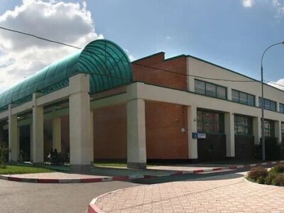 Снежные барсы