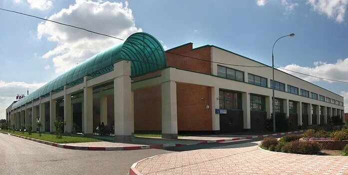 Снежные барсы