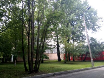 СШОР Юность Москвы по фехтованию