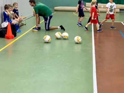 Школа футбольного мастерства Академия спорта