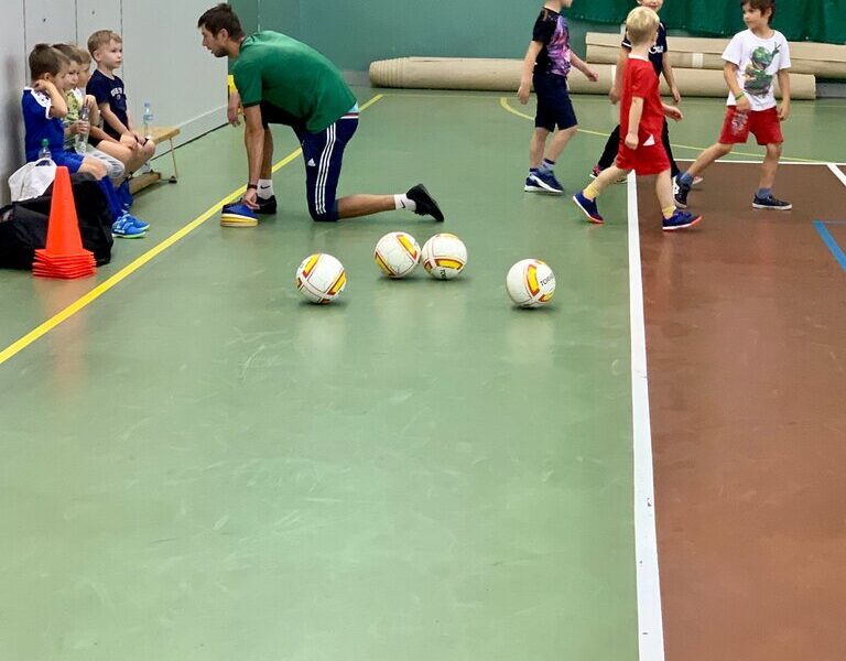 Школа футбольного мастерства Академия спорта