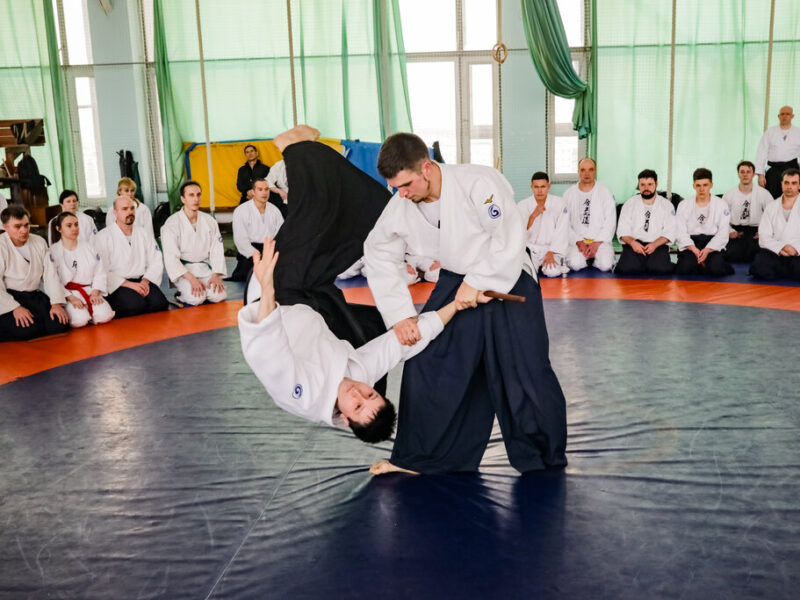 Школа Байдера - Айки.рф