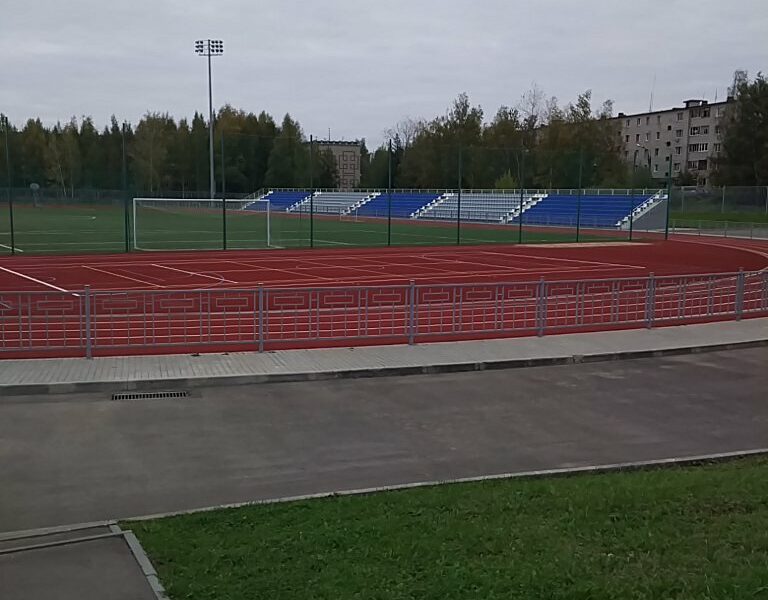 Центральная спортивная школа № 1