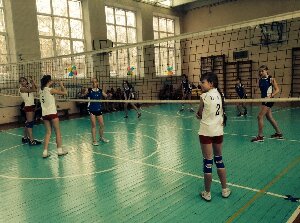 Любительская волейбольная лига