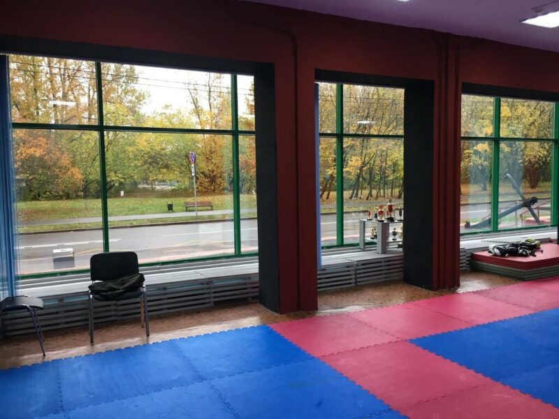 Государственное Бюджетное Учреждение города Москвы центр Детских Молодежных Социальных Инициатив Крылья