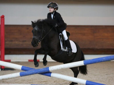 Большой международный конный клуб Прадар