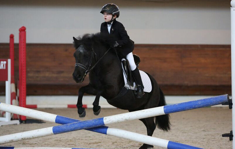 Большой международный конный клуб Прадар