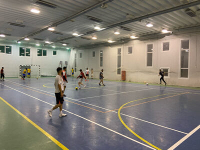 Физкультурно-оздоровительный комплекс Викинг Битца