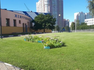 Спортивная школа № 104 Жемчужина Москомспорта