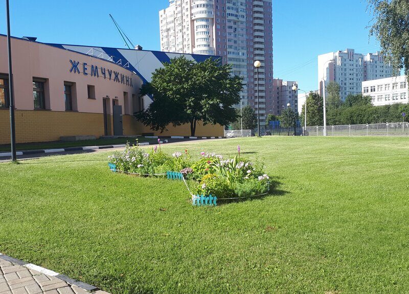 Спортивная школа № 104 Жемчужина Москомспорта