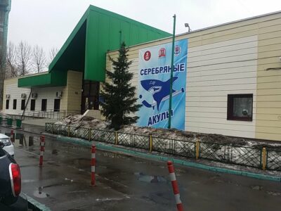 Серебряные акулы