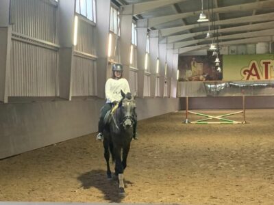 Центр конноспортивного образования