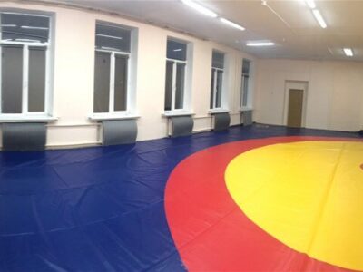 ГБУ Мосгорспорт Москомспорта