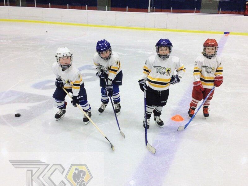 Хоккейная школа Крылья Столицы