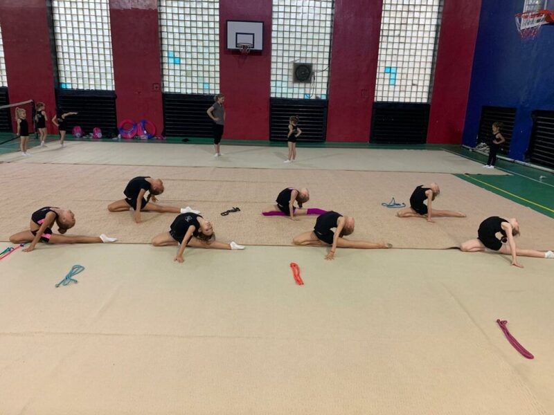 Центр художественной гимнастики № 1