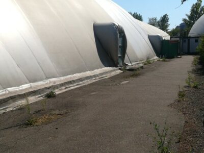 СК РУДН, Кафедра физического воспитания и спорта