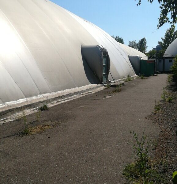 СК РУДН, Кафедра физического воспитания и спорта