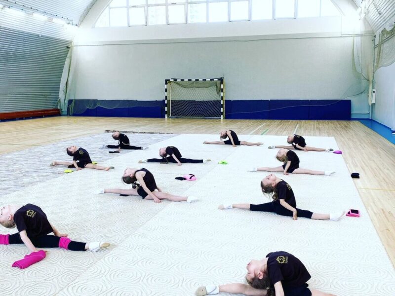 Художественная гимнастика Sofia