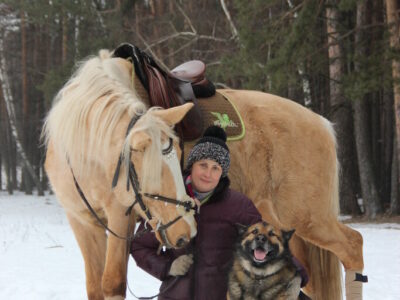 Городская Воскресенская конюшня